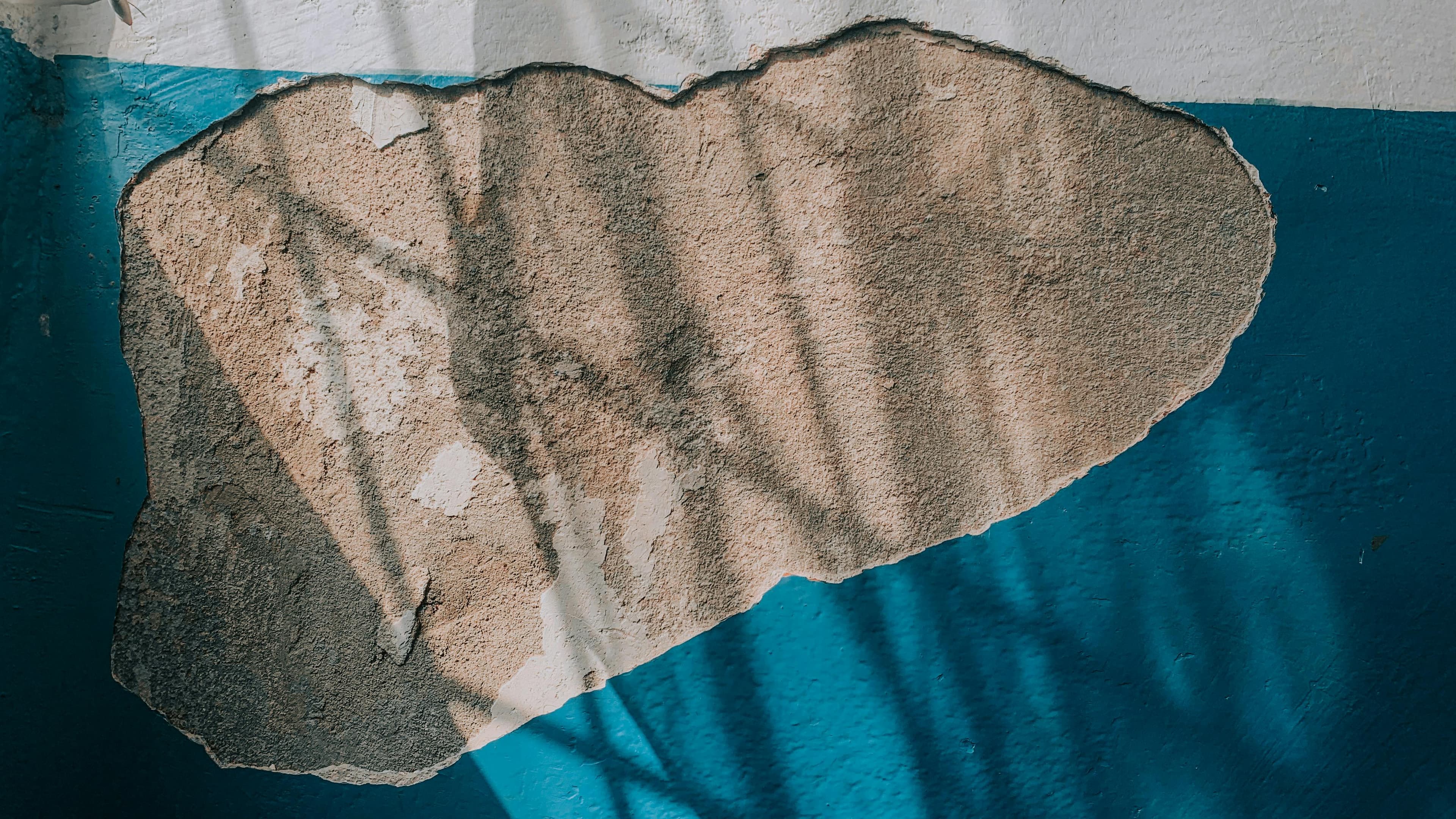 Structural repair of a damaged drywall and baseboard area following a minor leak, finished to be completely seamless.